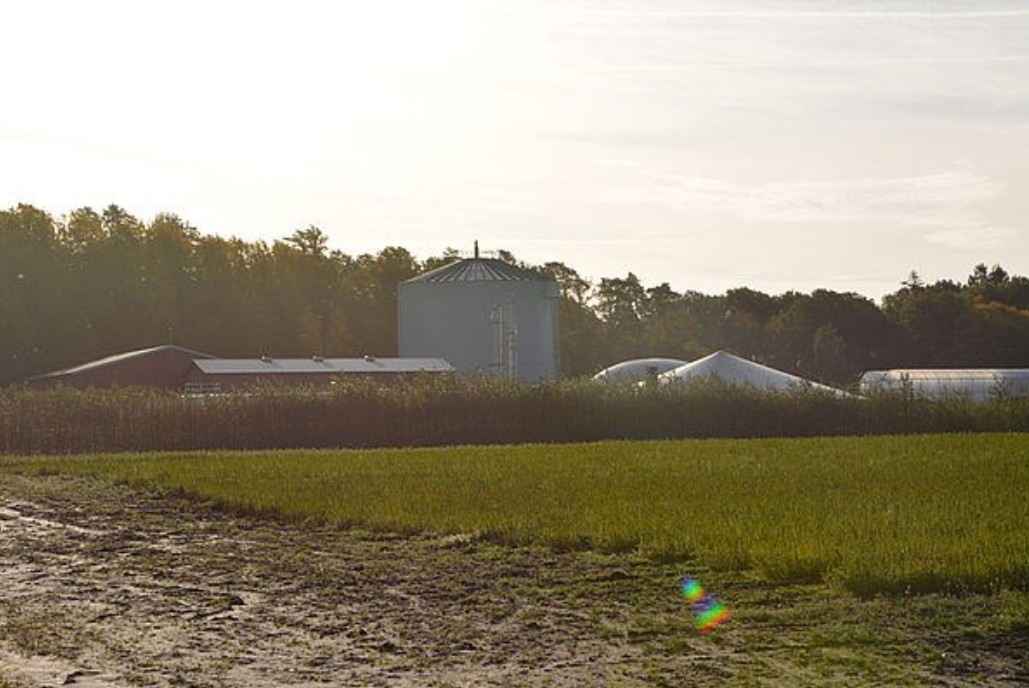 Åtgärder för att minimera växthusgasutsläpp från lager med rötad och orötad gödsel
