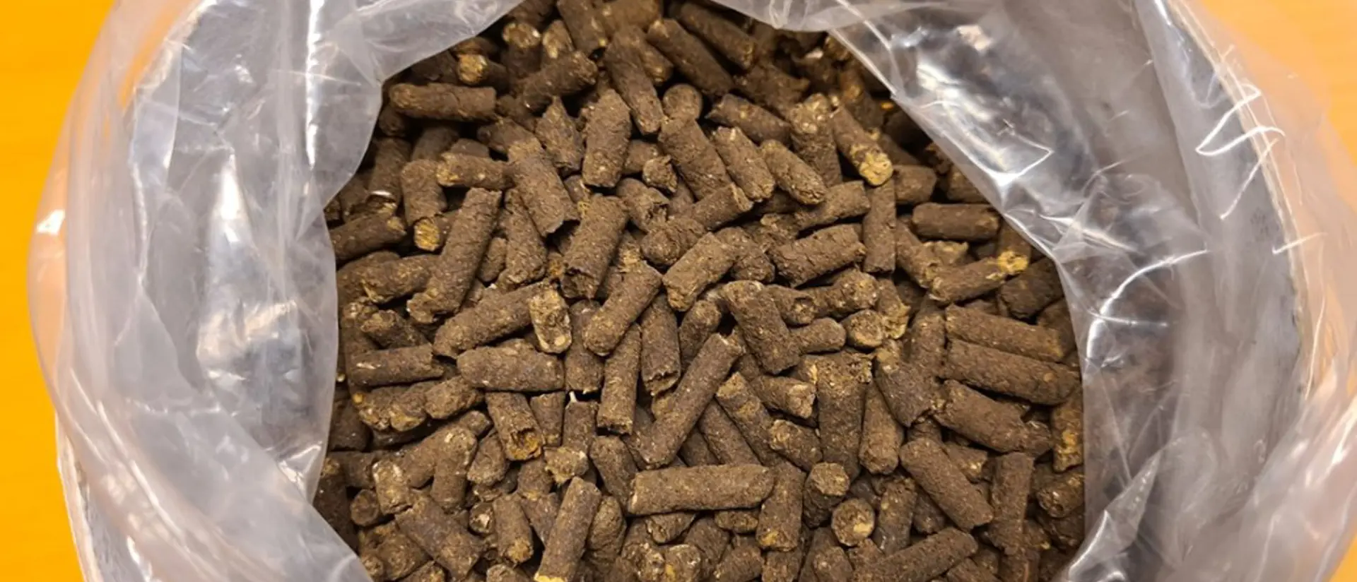 En burk som visar brun pellets. Burken är fotograferad uppifrån på en gul bakgrund.