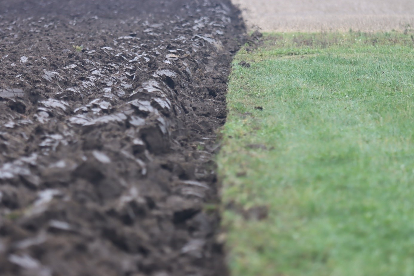 Lantbrukares erfarenheter av att investera i en biogasanläggning